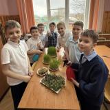 От семечки до первых ростков: юные исследователи в деле!