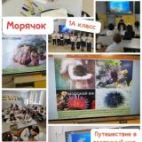 «Путешествие в подводный мир»