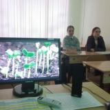 День российской науки 