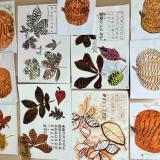 «Осень – дивная пора»